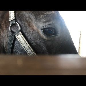 Any clothes in my closet are now 3 for $15